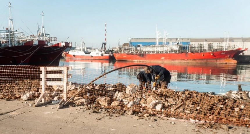 Con la reparación de más de 280 metros de frente de muelle avanza la obra pública en el Puerto