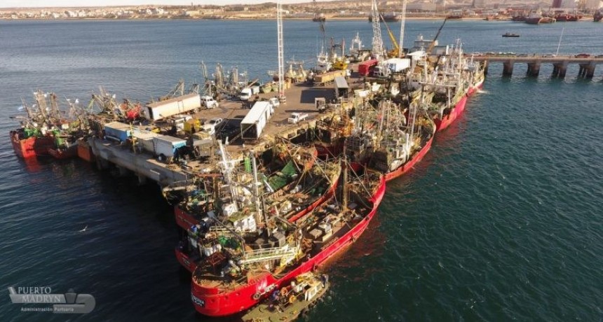 El langostino y el calamar le dan mayor actividad a Puerto Madryn